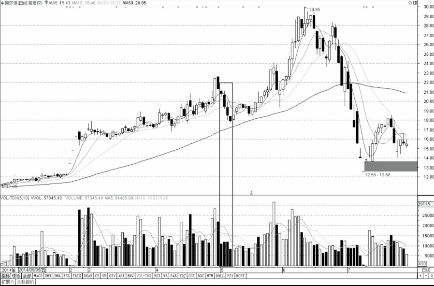 开云入口官网V4.6专业版