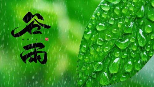 小熊洗车APP