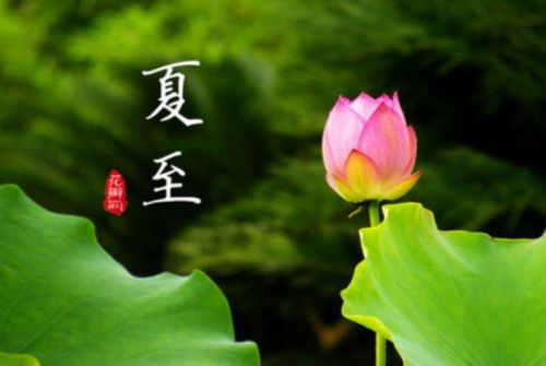 冰球突破app注册V3.3专业版