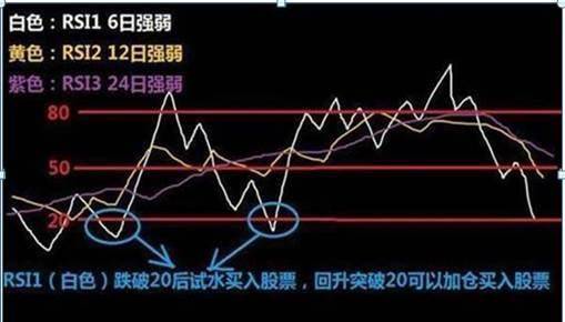 完美真人appV9.4专业版
