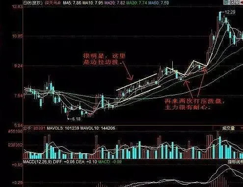 ng模拟器官网入口