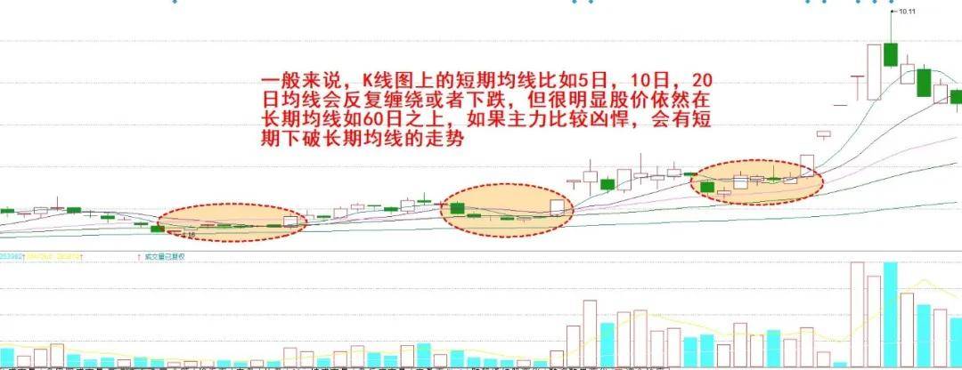 link shell extension 32