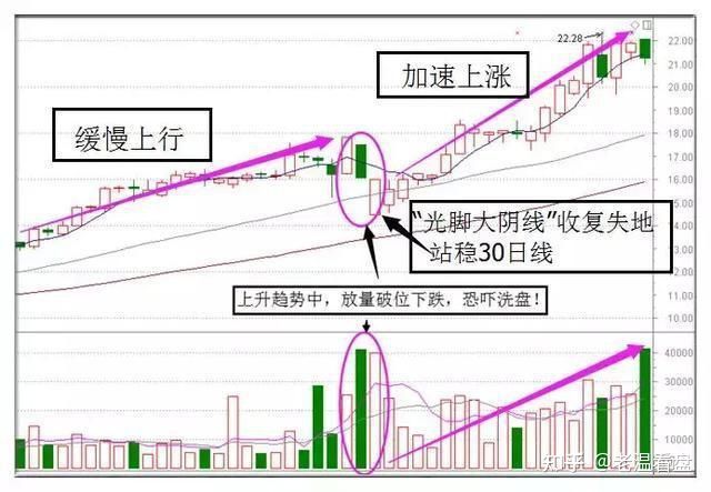 灯塔之下 完整版