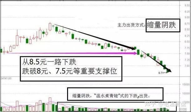 皇家电玩城app2025最新版精美时装外观展示