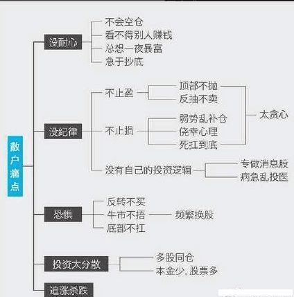 博雅棋牌appV1.3专业版