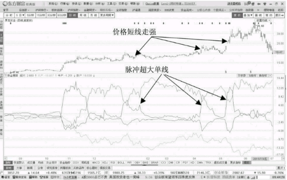 星空体育app