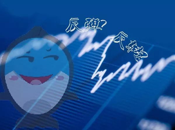 贵州药材APP