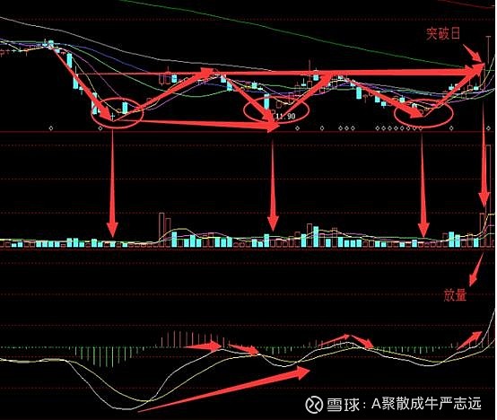 bob综合娱乐官网2025最新版技能特效展示