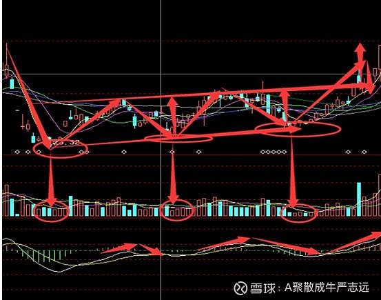 小熊洗车APP