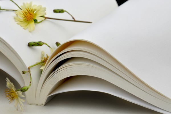 kindle for pc电脑版