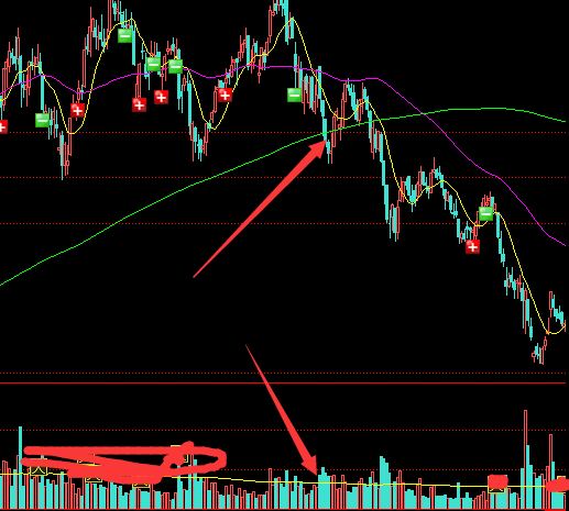 100 Toilets 百厕逃脱