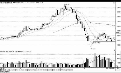 开云官方入口链接