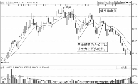 大发welcome彩票入口2025更新新增坐骑与宠物