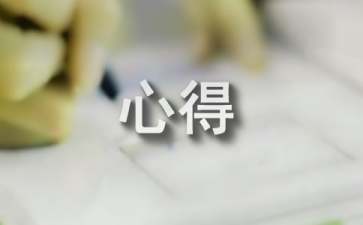 Toon Boom Animate汉化补丁