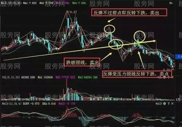 OBappapp安卓版二维码