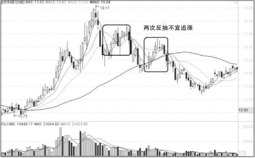 开云app登录入口网址