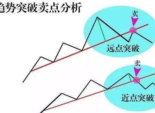 大庄家appV4.4专业版