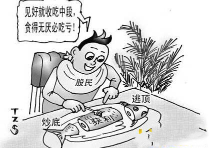 开云官方体育app下载V4.7专业版