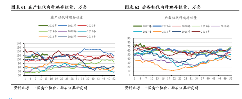 彩777app2025最新版山地战场环境截图