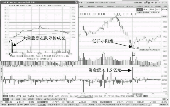 NG体育appV3.7专业版