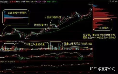 bd体育appV5.8专业版