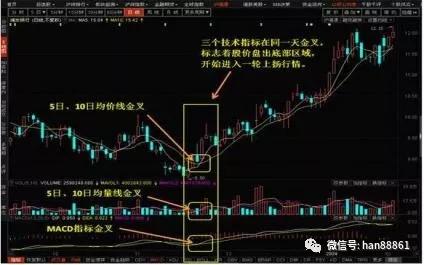 开云网页版登录V7.3专业版