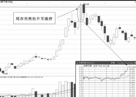 滚球网站2025版龙语者职业战斗画面