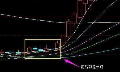 贵州药材APP