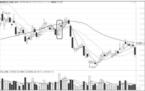 500彩票网下载V4.3专业版
