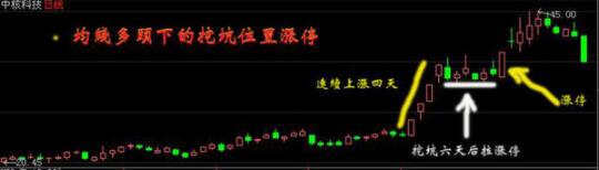 贵州药材APP