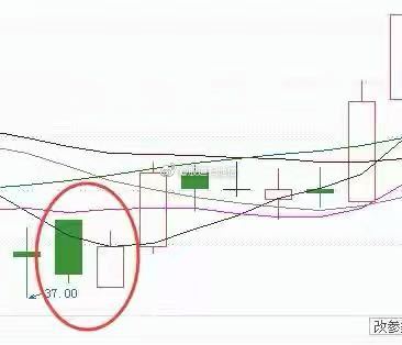 开云app苹果版官网入口V3.4专业版
