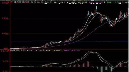 BETVLCTOR伟德登录2025最新版玩家多人合作场景