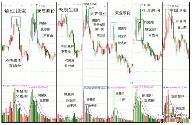 贵州药材APP