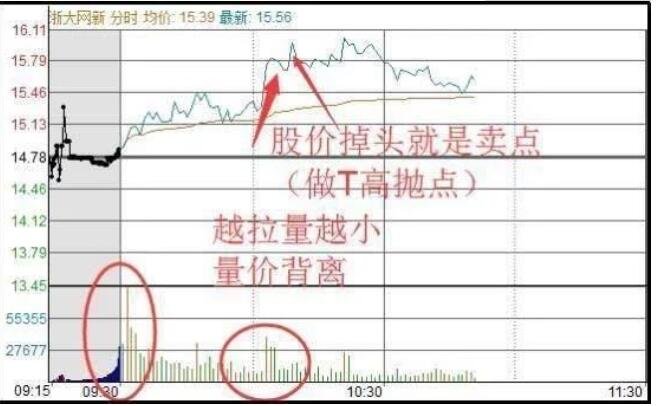 AB娱乐appV3.2专业版