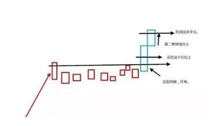 开云体app官网入口下载V7.9专业版