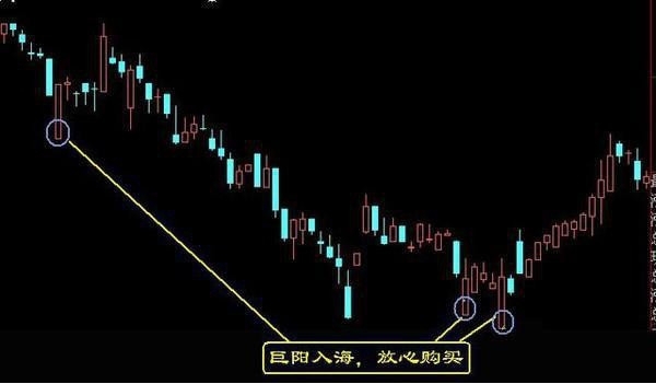 高登棋牌app2025版舞团基地与活动界面