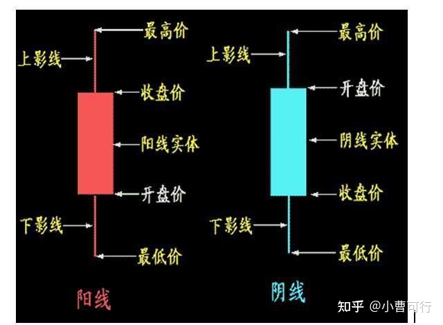 AyxappV3.1专业版