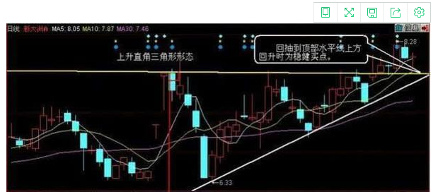 先锋鸟最新版