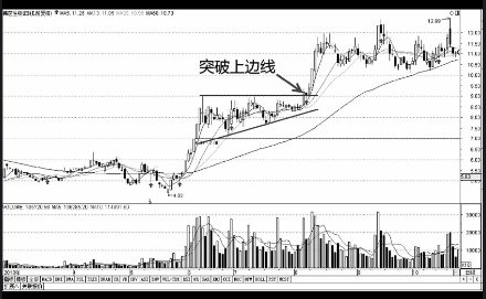 ng体育南宫app下载V1.2专业版