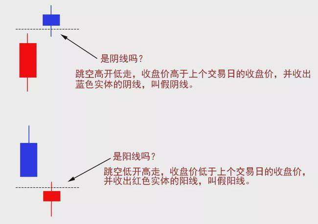 开云app官方体育app下载安卓版二维码