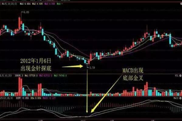 外围appapp安卓版二维码