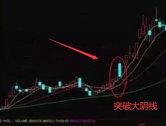 贵州药材APP