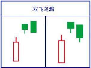 贵州药材APP