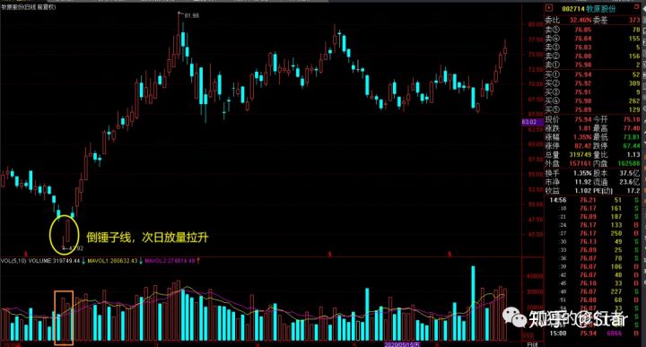 金樽国际APP 2025最新版 角色创建与外观选择界面