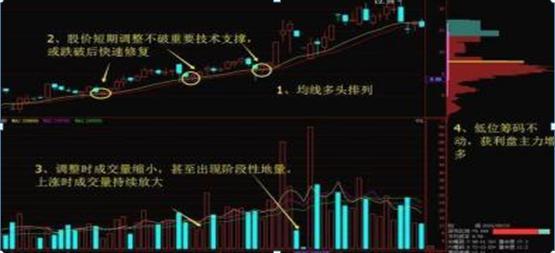 超级女星：云裳意大利