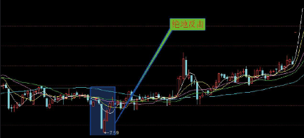 kaiyunapp最新官方下载