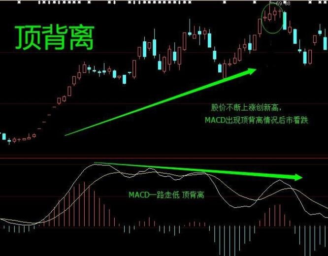 贵州药材APP
