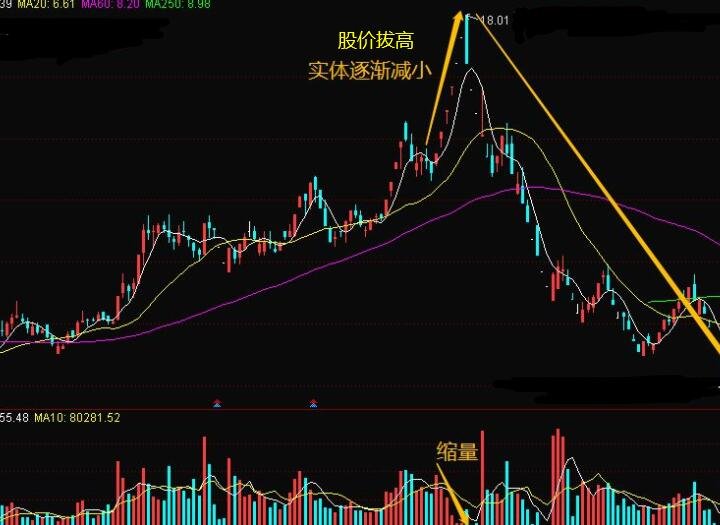 东赢appV2.5专业版