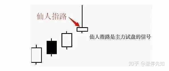 购球appappV1.2专业版