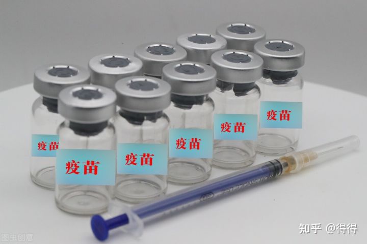 贵州药材APP
